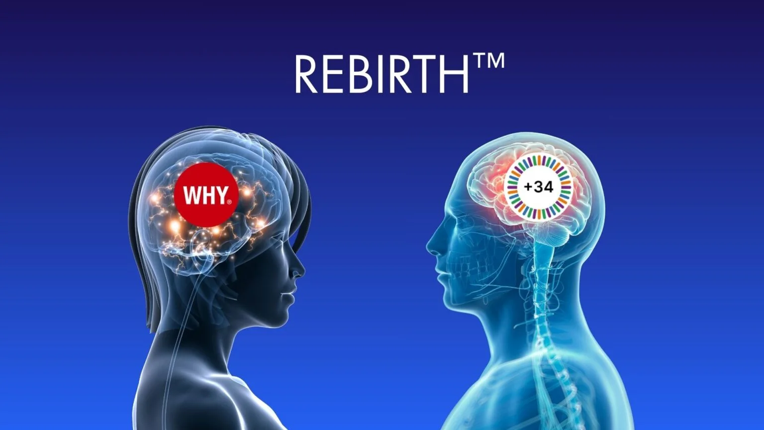 REBIRTH™ 1 1536x864 1
